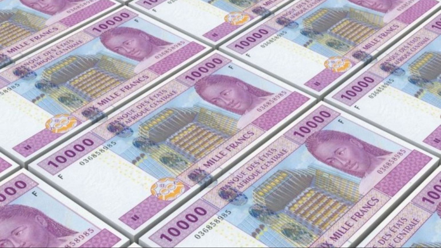 CEMAC : la circulation fiduciaire en hausse de 7,3 % en 2025, le Cameroun concentre 44 % des liquidités